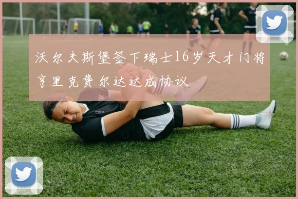 沃尔夫斯堡签下瑞士16岁天才门将亨里克费尔达达成协议