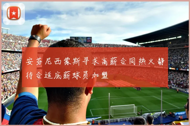 安芬尼西蒙斯寻求高薪合同热火静待合适底薪球员加盟