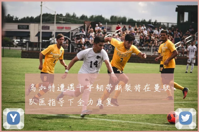 乌加特遭遇十字韧带断裂将在曼联队医指导下全力康复